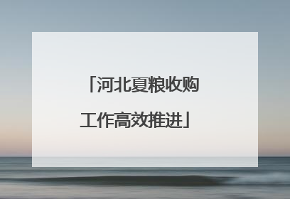 河北夏粮收购工作高效推进