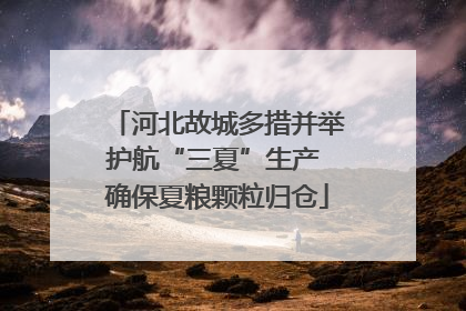 河北故城多措并举护航“三夏”生产 确保夏粮颗粒归仓