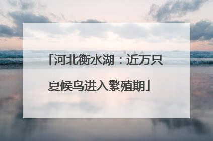 河北衡水湖：近万只夏候鸟进入繁殖期