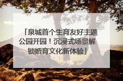 泉城首个生育友好主题公园开园！沉浸式场景解锁婚育文化新体验