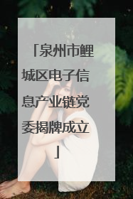 泉州市鲤城区电子信息产业链党委揭牌成立