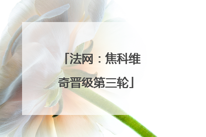 法网：焦科维奇晋级第三轮