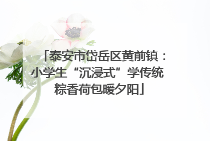 泰安市岱岳区黄前镇：小学生“沉浸式”学传统 粽香荷包暖夕阳