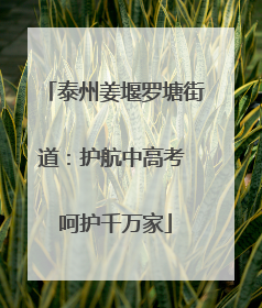 泰州姜堰罗塘街道：护航中高考 呵护千万家