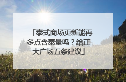 泰式商场更新能再多点含泰量吗？给正大广场五条建议