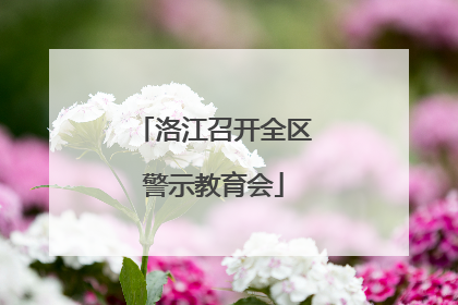 洛江召开全区警示教育会