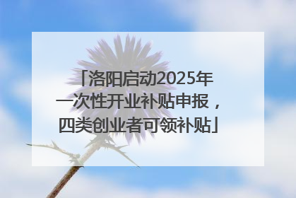 洛阳启动2025年一次性开业补贴申报，四类创业者可领补贴
