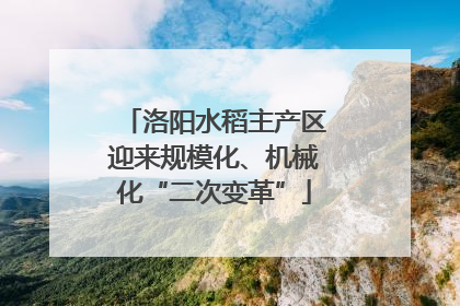 洛阳水稻主产区迎来规模化、机械化“二次变革”