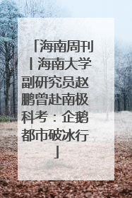 海南周刊丨海南大学副研究员赵鹏曾赴南极科考：企鹅都市破冰行