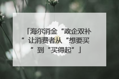 海尔消金“政企双补”让消费者从“想要买”到“买得起”