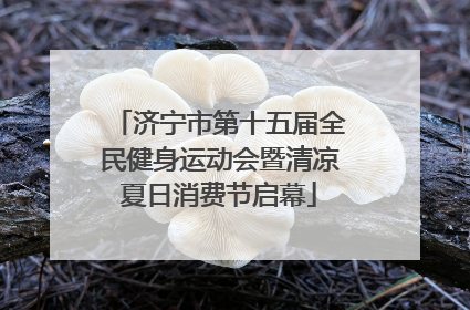济宁市第十五届全民健身运动会暨清凉夏日消费节启幕