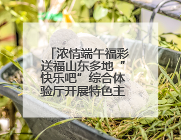 浓情端午福彩送福山东多地“快乐吧”综合体验厅开展特色主题活动