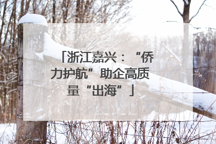 浙江嘉兴：“侨力护航”助企高质量“出海”