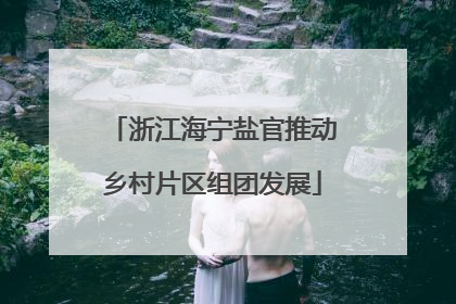 浙江海宁盐官推动乡村片区组团发展