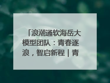 浪潮通软海岳大模型团队：青春逐浪，智启新程｜青春思政课