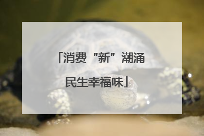 消费“新”潮涌 民生幸福味