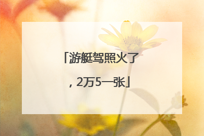 游艇驾照火了，2万5一张