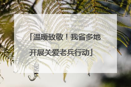温暖致敬！我省多地开展关爱老兵行动
