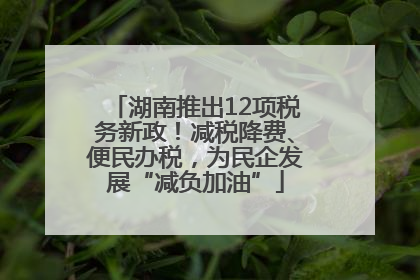 湖南推出12项税务新政！减税降费、便民办税，为民企发展“减负加油”
