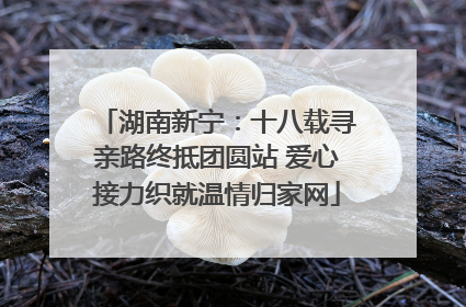 湖南新宁：十八载寻亲路终抵团圆站 爱心接力织就温情归家网
