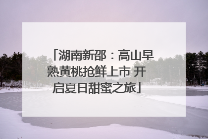 湖南新邵：高山早熟黄桃抢鲜上市 开启夏日甜蜜之旅