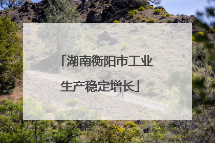 湖南衡阳市工业生产稳定增长
