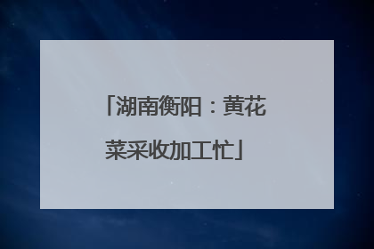 湖南衡阳：黄花菜采收加工忙