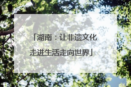 湖南：让非遗文化走进生活走向世界