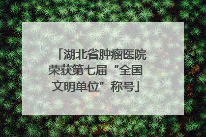 湖北省肿瘤医院荣获第七届“全国文明单位”称号