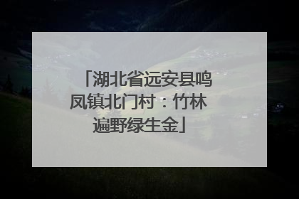 湖北省远安县鸣凤镇北门村：竹林遍野绿生金