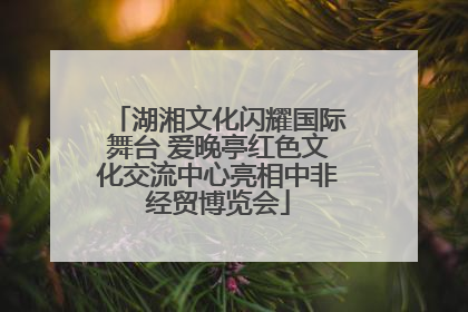湖湘文化闪耀国际舞台 爱晚亭红色文化交流中心亮相中非经贸博览会