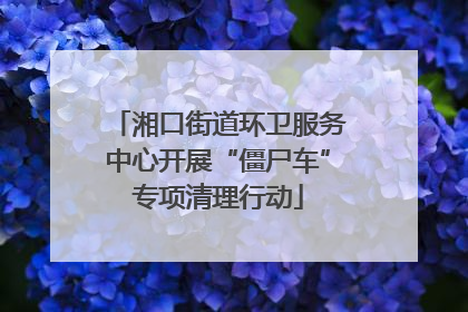 湘口街道环卫服务中心开展“僵尸车”专项清理行动