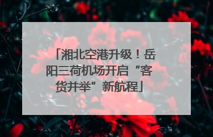 湘北空港升级！岳阳三荷机场开启“客货并举”新航程