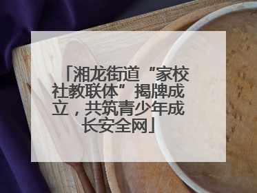 湘龙街道“家校社教联体”揭牌成立，共筑青少年成长安全网