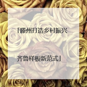 滕州打造乡村振兴齐鲁样板新范式