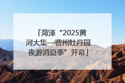菏泽“2025黄河大集—曹州牡丹园夜游消夏季”开幕