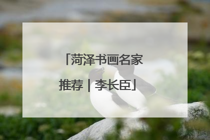 菏泽书画名家推荐｜李长臣