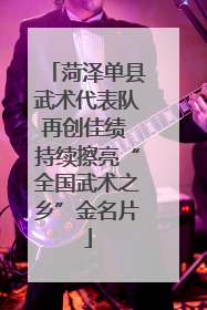 菏泽单县武术代表队再创佳绩 持续擦亮“全国武术之乡”金名片