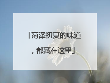菏泽初夏的味道，都藏在这里