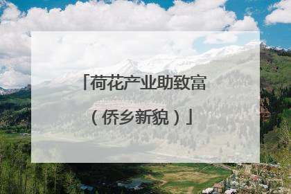 荷花产业助致富（侨乡新貌）