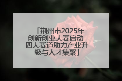 荆州市2025年创新创业大赛启动 四大赛道助力产业升级与人才集聚