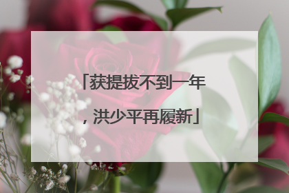 获提拔不到一年，洪少平再履新