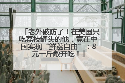 老外破防了！在美国只吃荔枝罐头的他，竟在中国实现“鲜荔自由”：8元一斤敞开吃！
