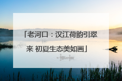 老河口：汉江荷韵引翠来 初夏生态美如画