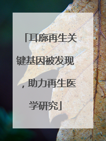耳廓再生关键基因被发现，助力再生医学研究