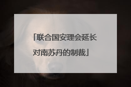 联合国安理会延长对南苏丹的制裁