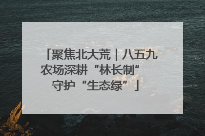 聚焦北大荒｜八五九农场深耕“林长制” 守护“生态绿”