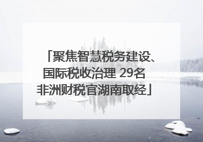 聚焦智慧税务建设、国际税收治理 29名非洲财税官湖南取经