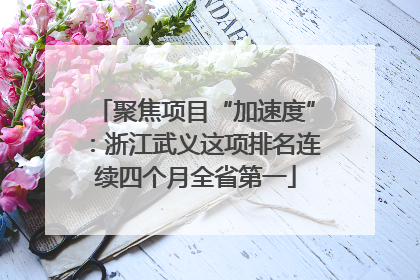 聚焦项目“加速度”：浙江武义这项排名连续四个月全省第一