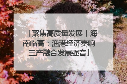 聚焦高质量发展丨海南临高：渔港经济奏响三产融合发展强音